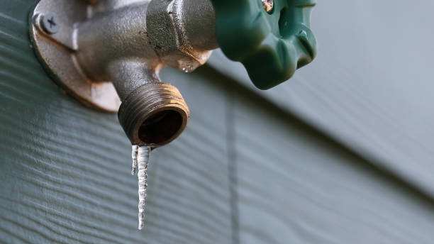 Best Septic Systems  in Karns, TN